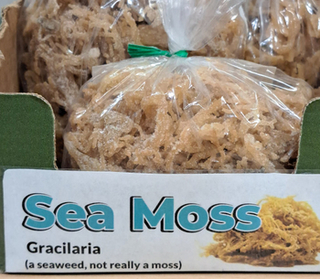 Sea Moss Raw